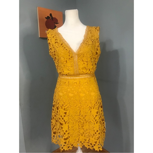Few Moda Dresses & Skirts - Few Moda Golden Floral Crochet Cocktail Dress Size Medium 💛